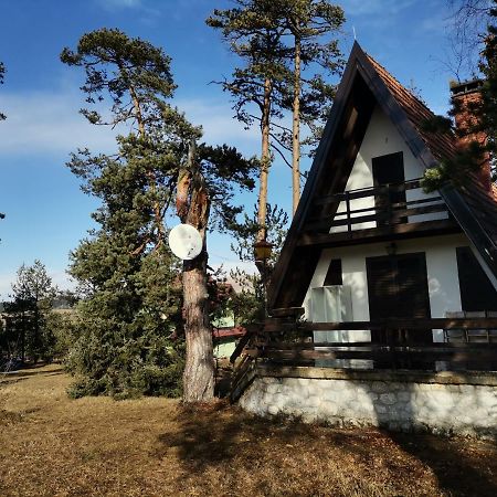 Vila Jovanovic Apartamento Zlatibor Exterior foto