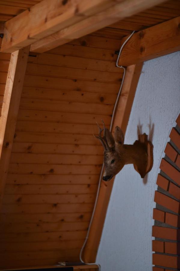 Vila Jovanovic Apartamento Zlatibor Exterior foto